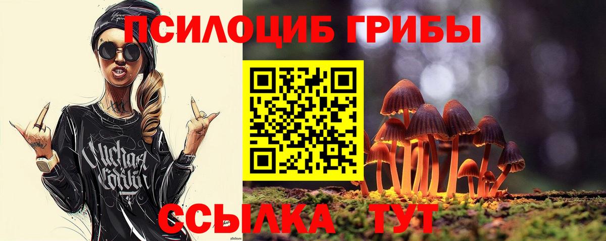 Касимов  Галлюциногенные грибы Magic Shrooms  Вход с VPN  Псилоцибиновые грибы Psilocybine cubensis 