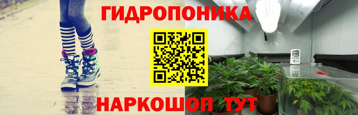 МАРИХУАНА гибрид  Вход с VPN  Шишки марихуана семена  Шишки марихуана марихуана  Касимов 